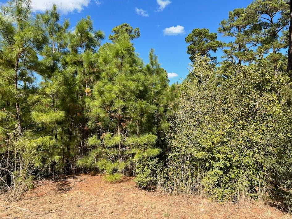 Lot 986 Kailua L Ln, Bastrop, TX 78602