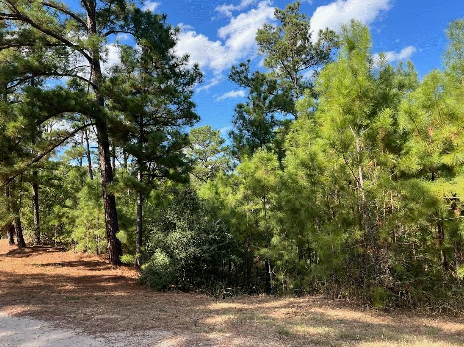 Lot 986 Kailua L Ln, Bastrop, TX 78602