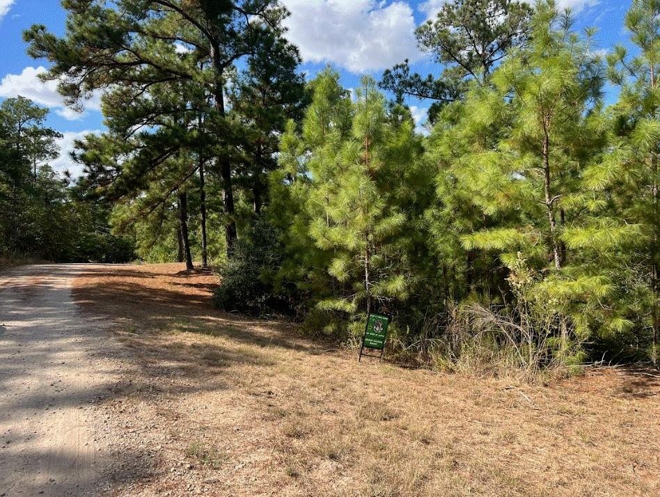 Lot 986 Kailua L Ln, Bastrop, TX 78602