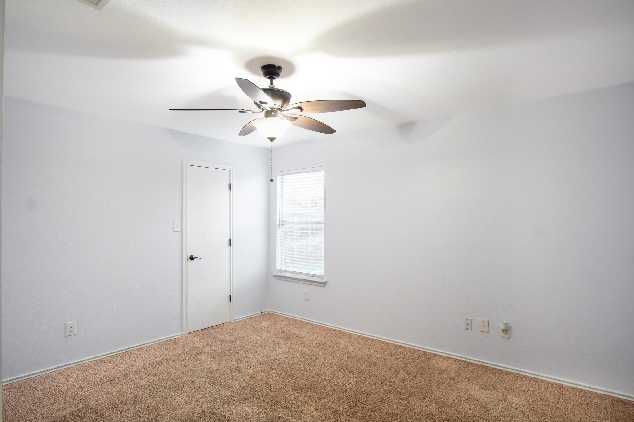 245 Peppergrass Cv, Kyle, TX 78640