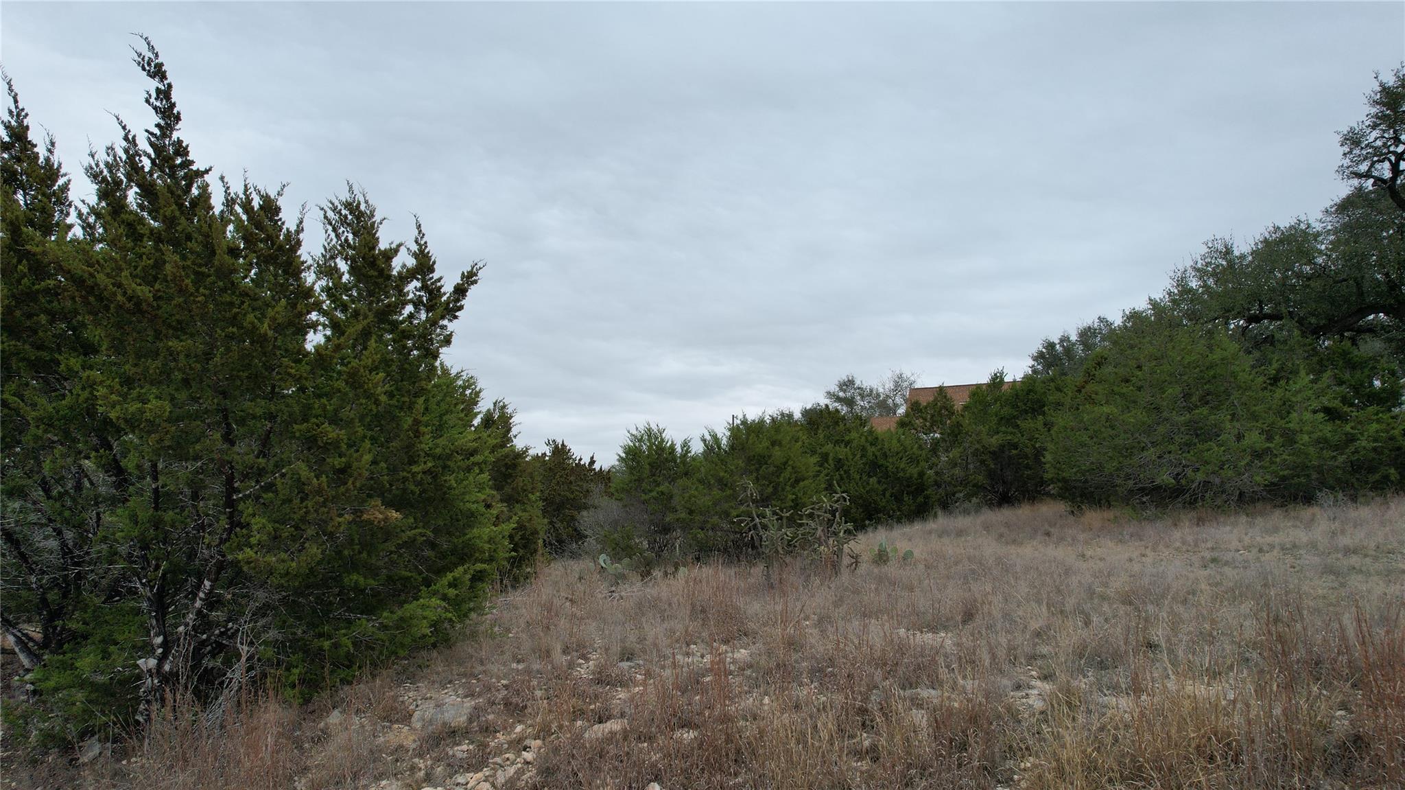 1061 Cougar Dr, Canyon Lake, TX 78133
