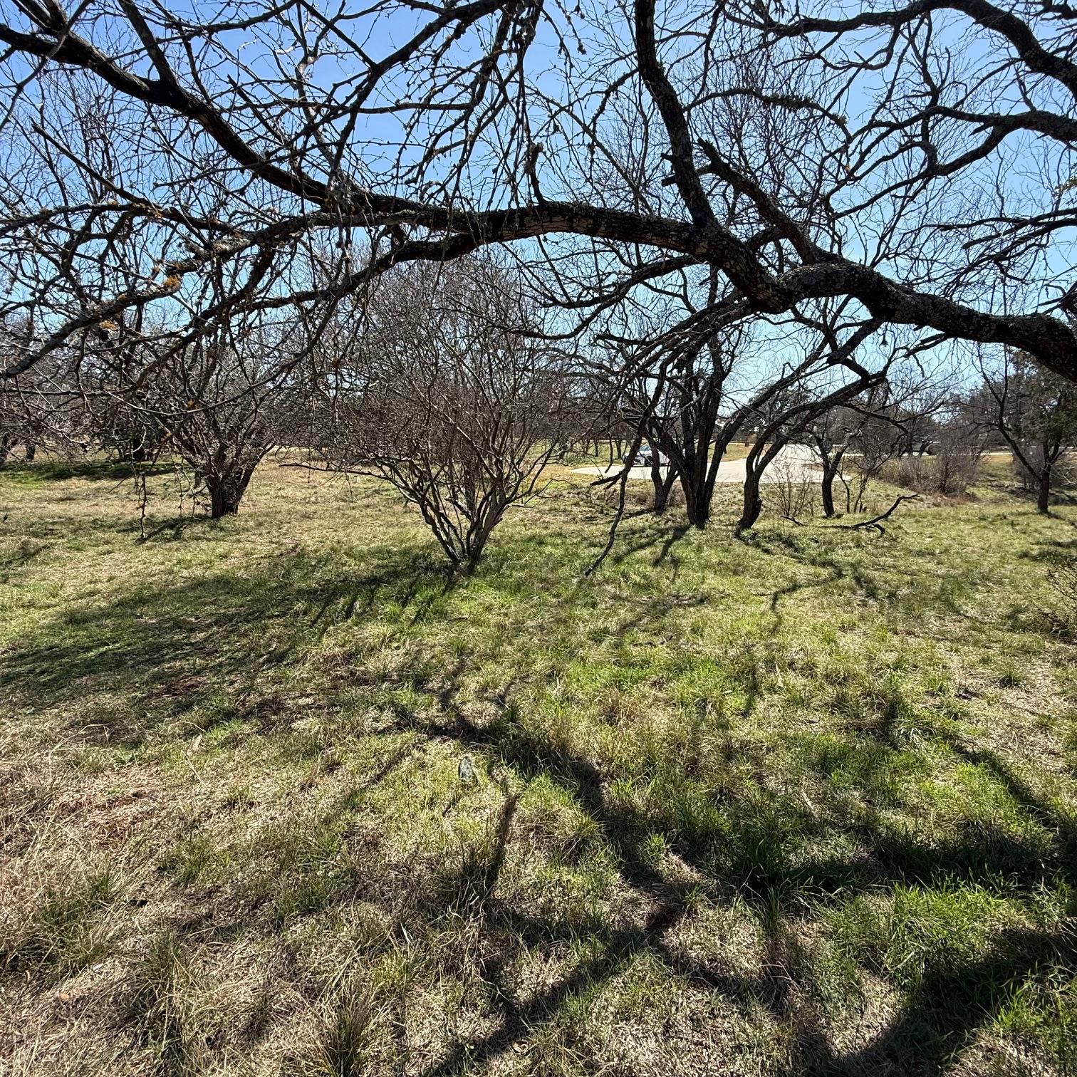 808 Sky Ln, Horseshoe Bay, TX 78657