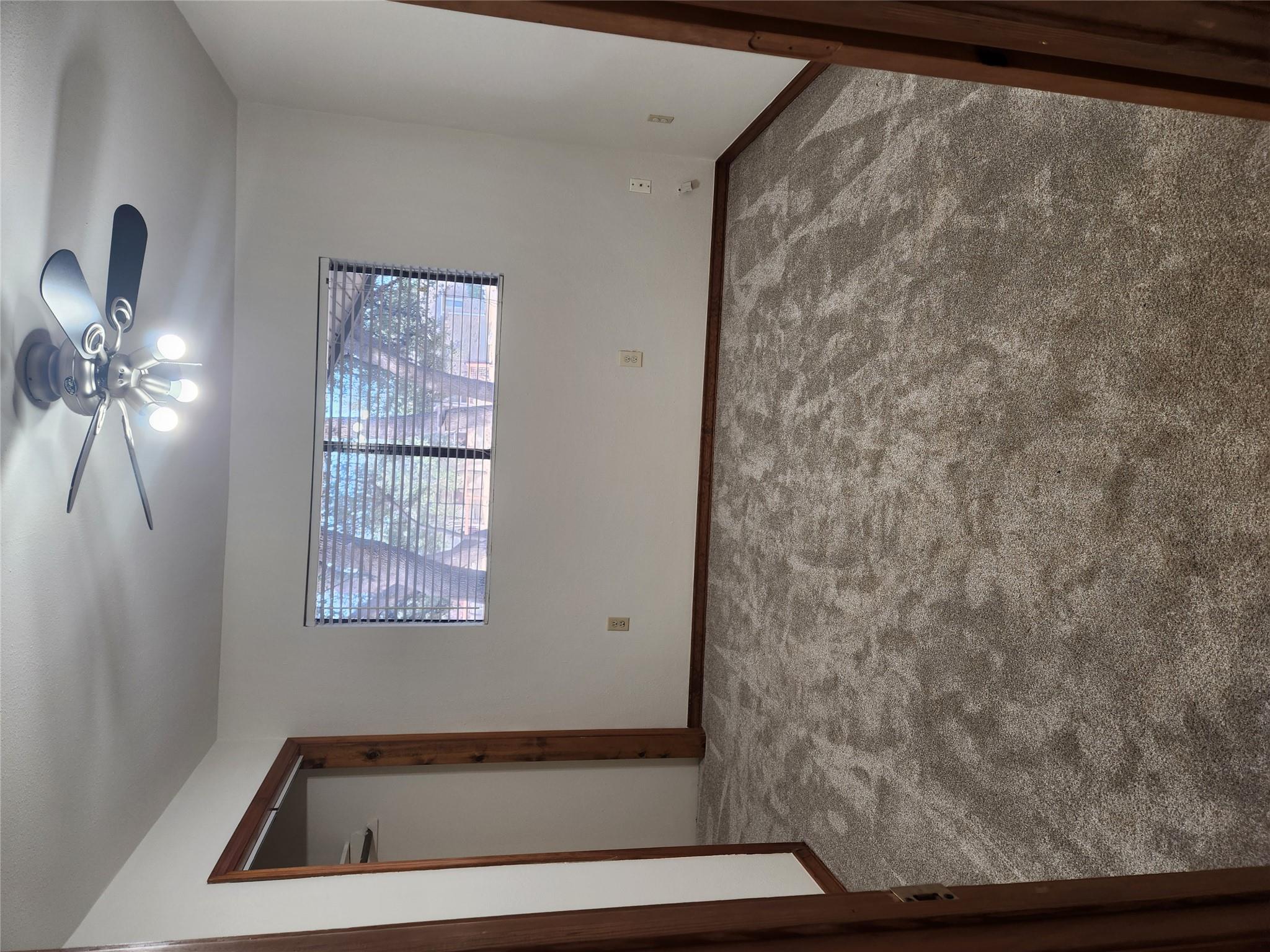 704 Marquis Ln, Cedar Park, TX 78613