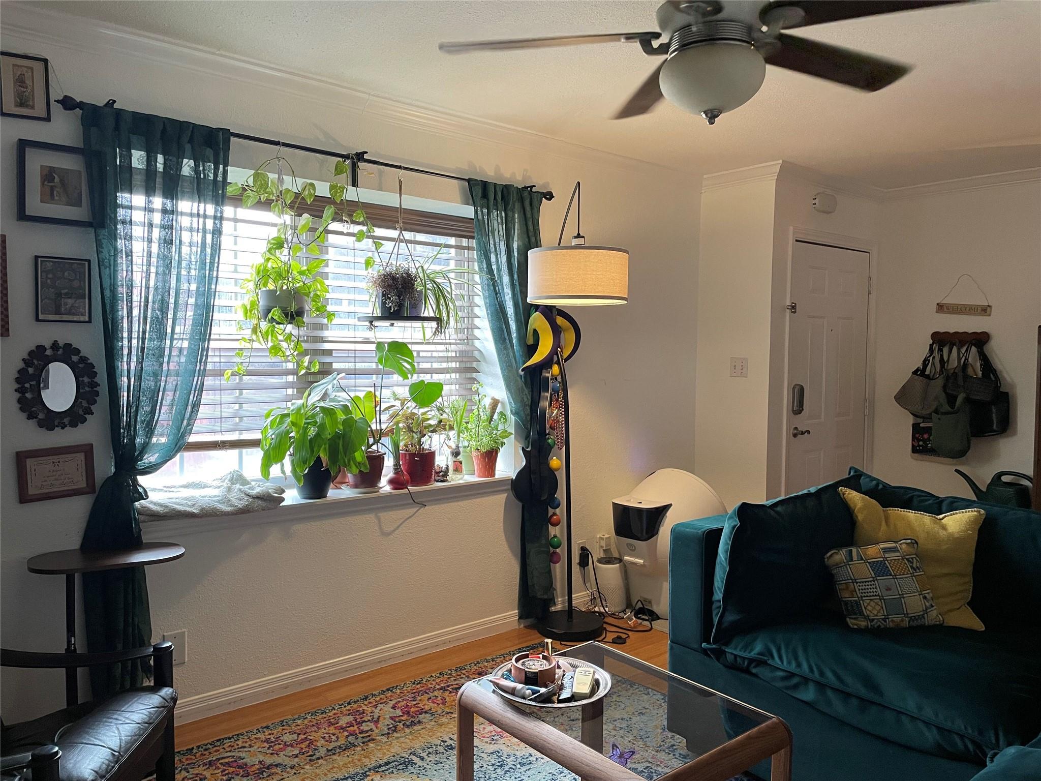 900 S Lamar Blvd # 303, Austin, TX 78704