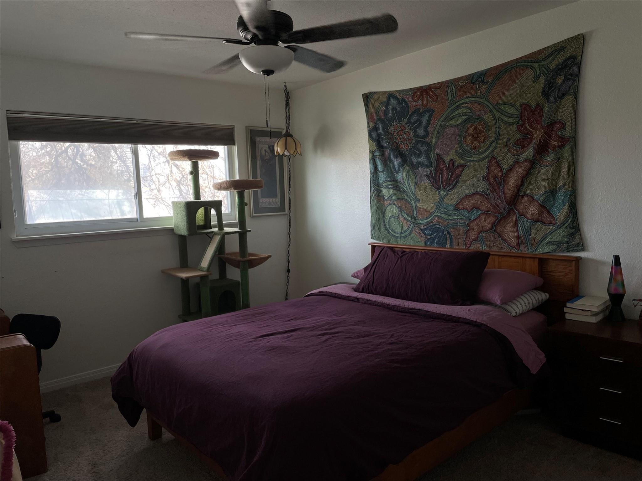 900 S Lamar Blvd # 303, Austin, TX 78704