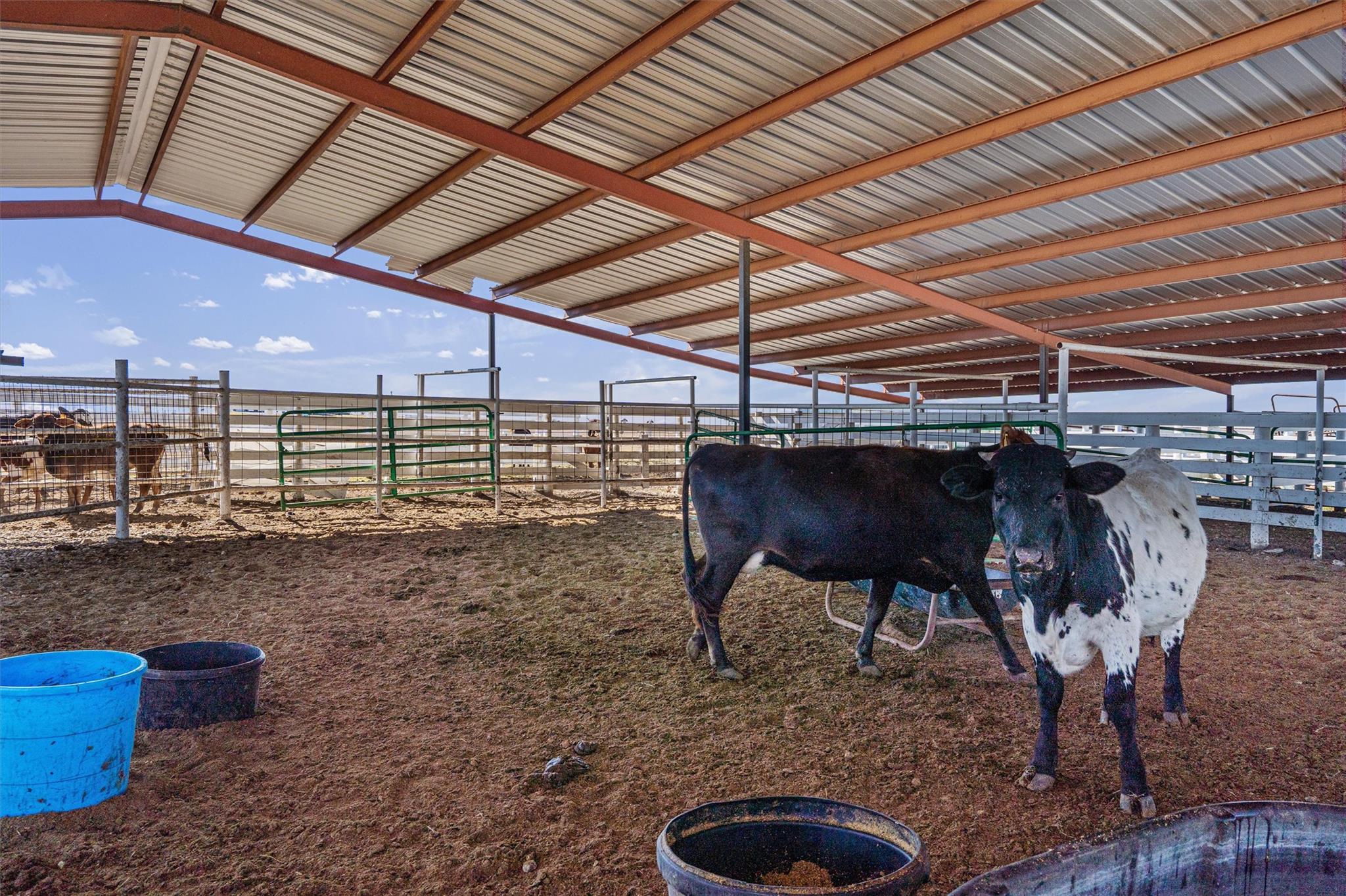 5300 County Road 424, Taylor, TX 76574