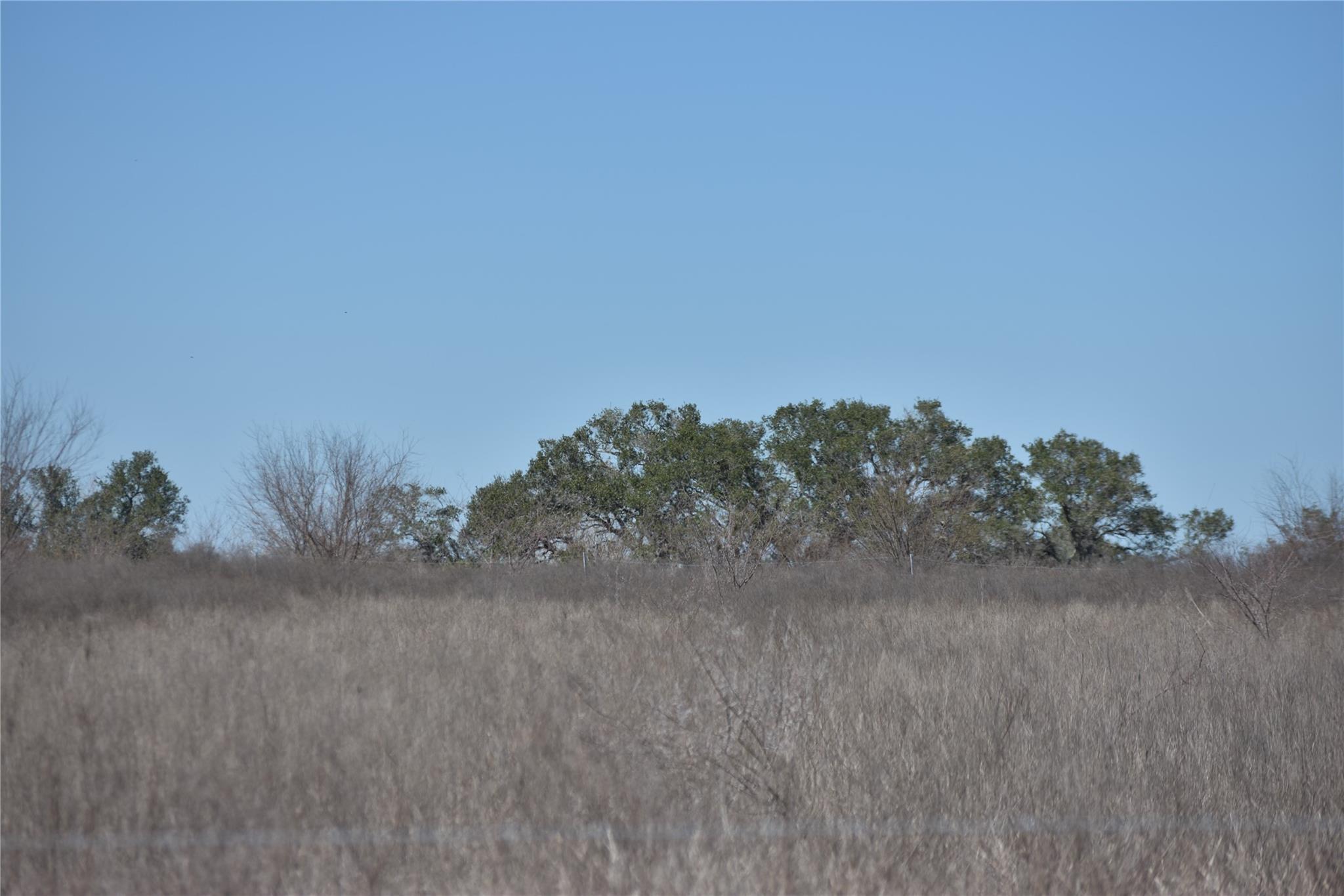 Track 24 Jackson Rd, Refugio, TX 78377