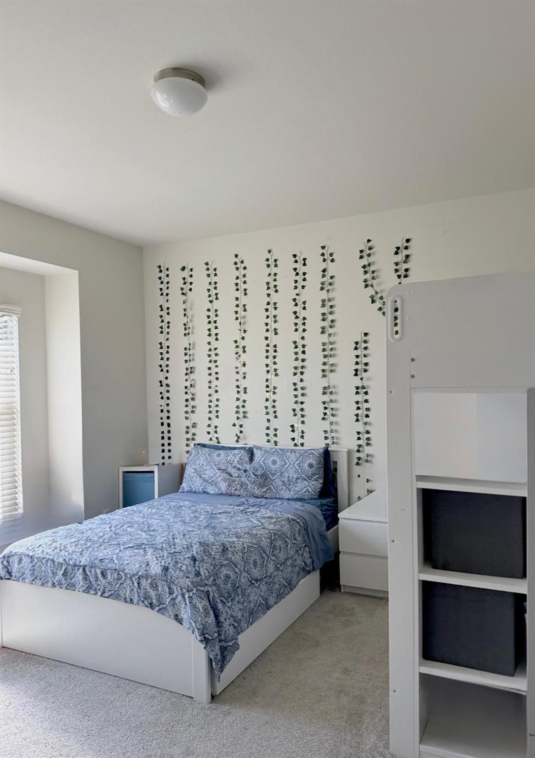 144 Falkland St, Hutto, TX 78634