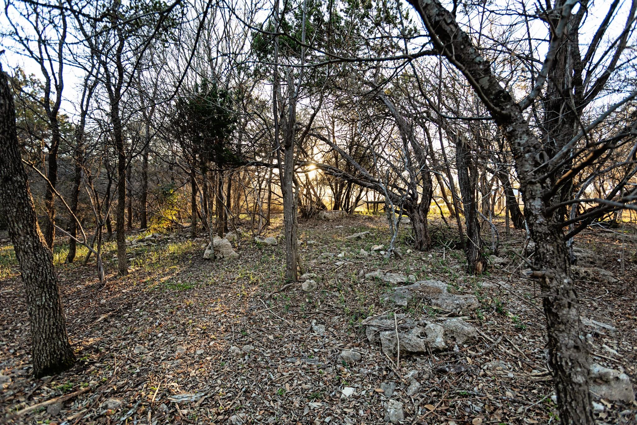 603 Oakwood Dr, Buda, TX 78610