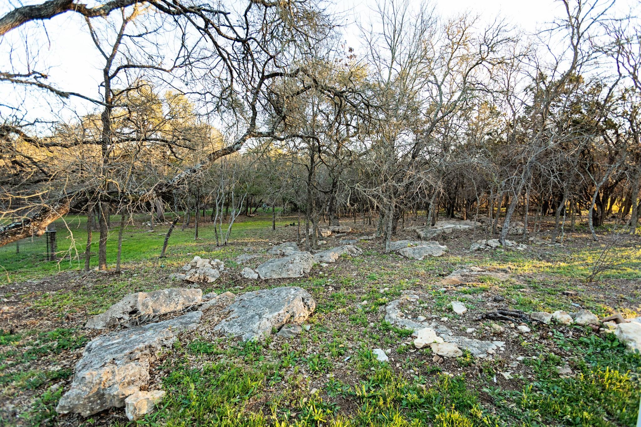 603 Oakwood Dr, Buda, TX 78610