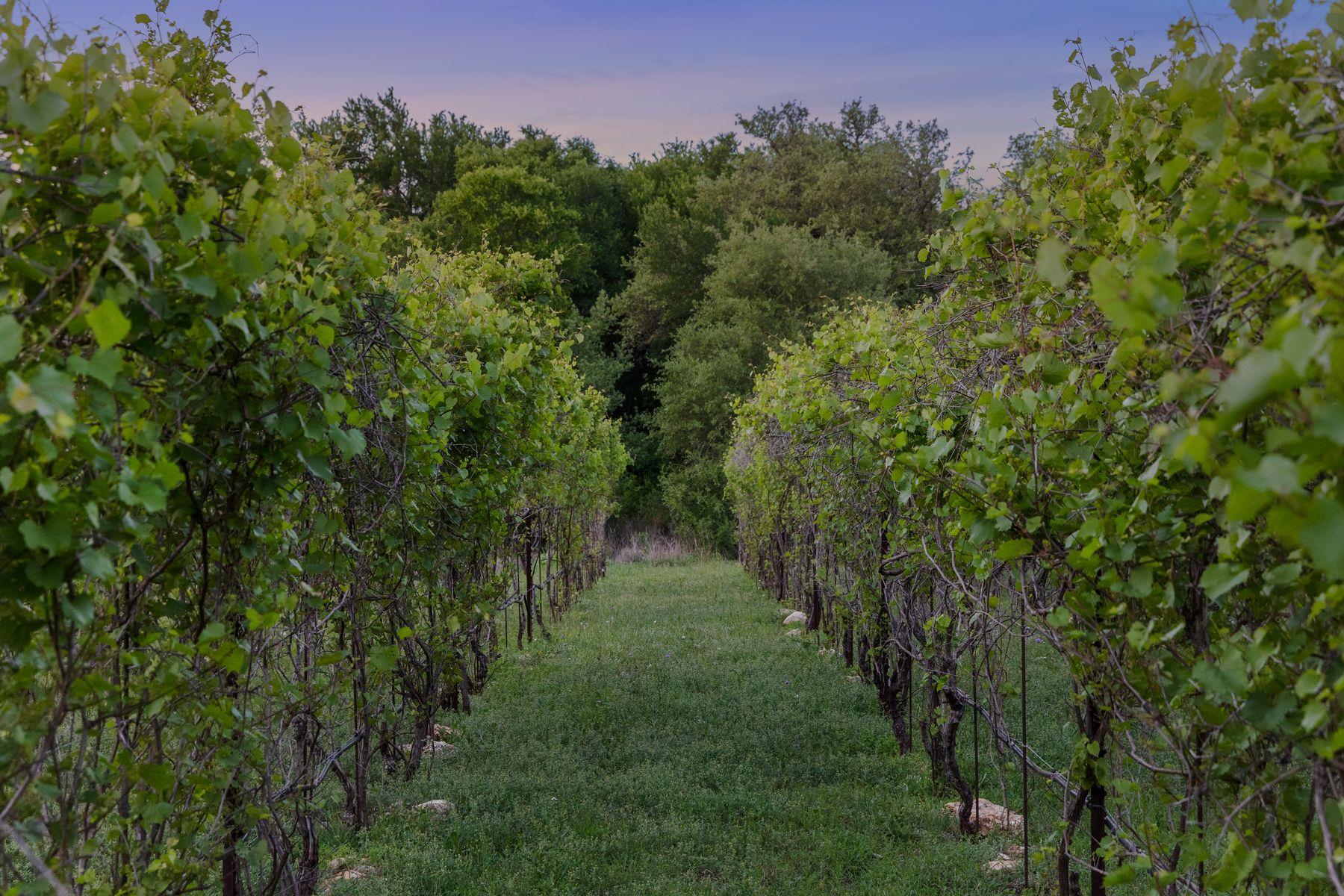 18059 FM 1826 Rd, Driftwood, TX 78619