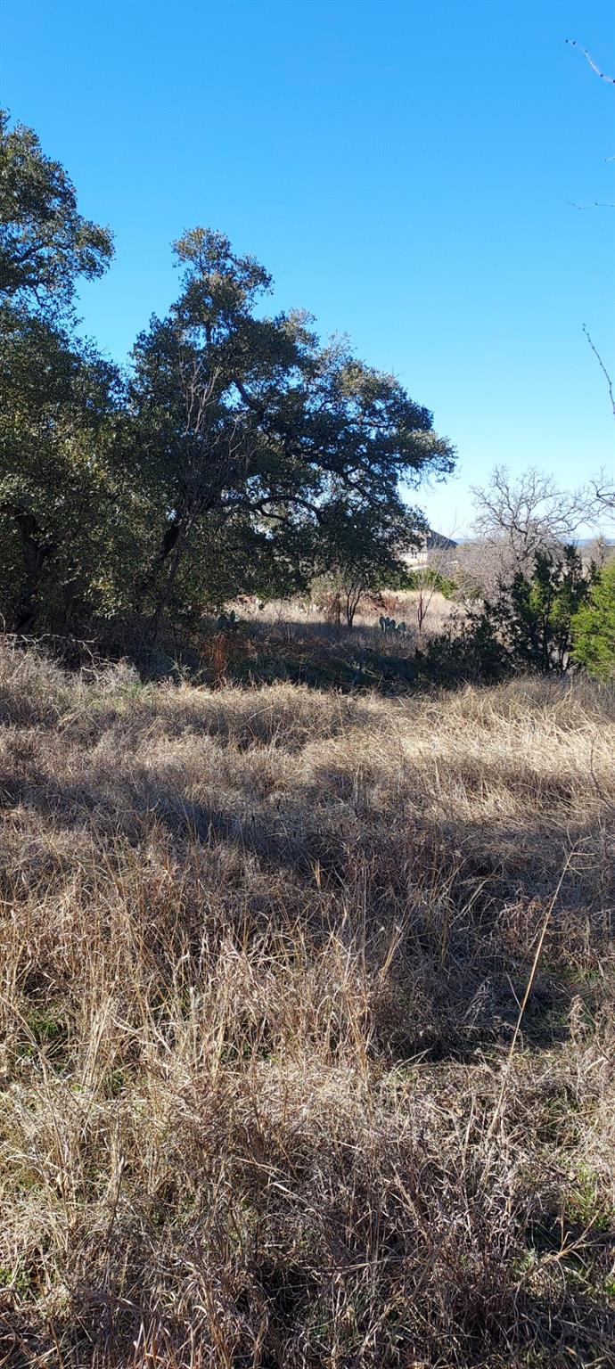 Lot 50 Pristine Pass, Buchanan Dam, TX 78609