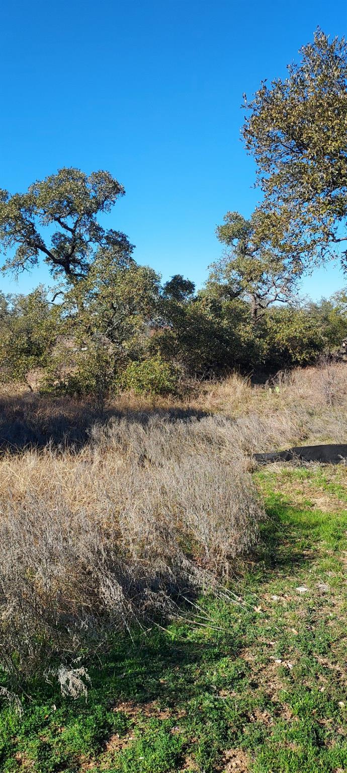 Lot 50 Pristine Pass, Buchanan Dam, TX 78609