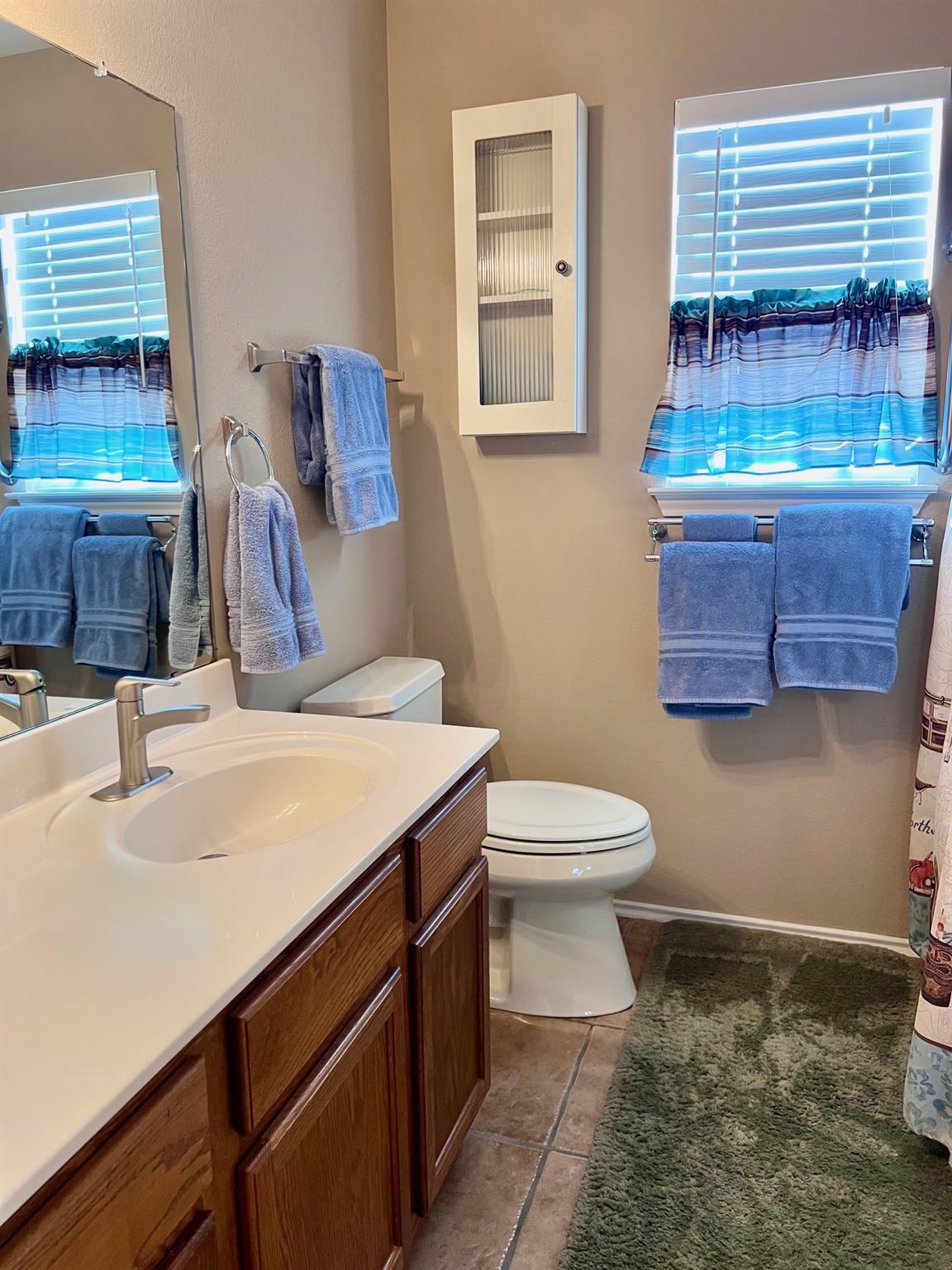 17705 Mahonia Ln, Elgin, TX 78621