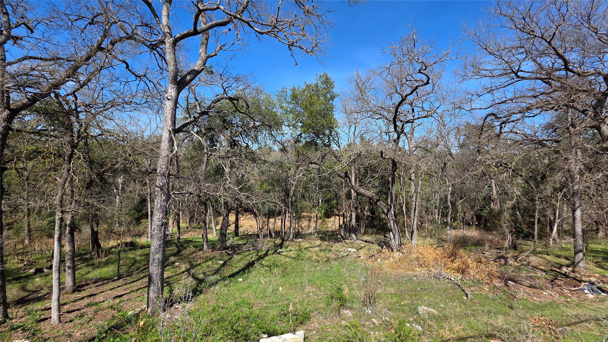 5406 Buffalo Pass, Austin, TX 78745