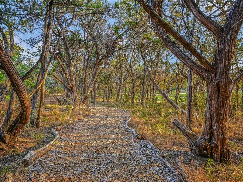 14036 Timberline Trl, Austin, TX 78737