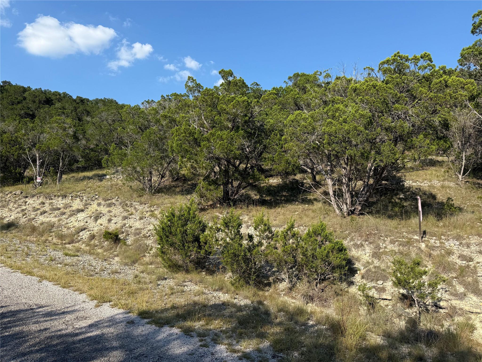 8147 Arroyo Ave, Leander, TX 78645