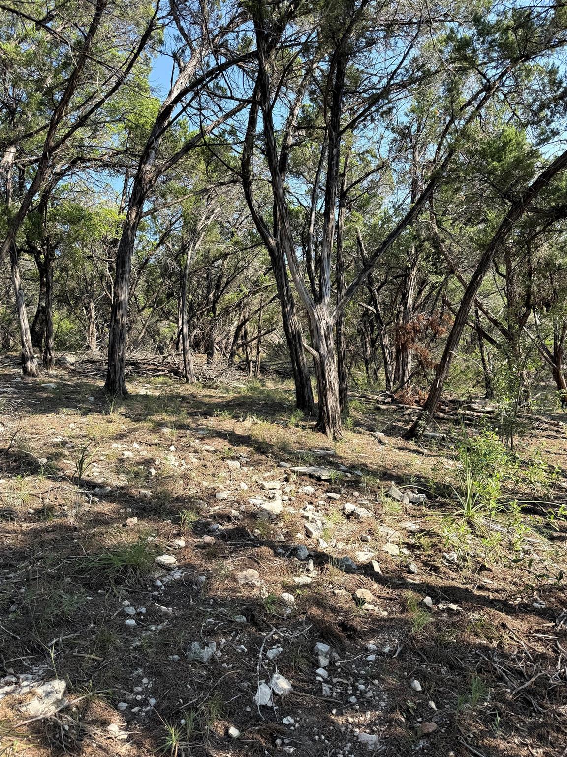 8147 Arroyo Ave, Leander, TX 78645