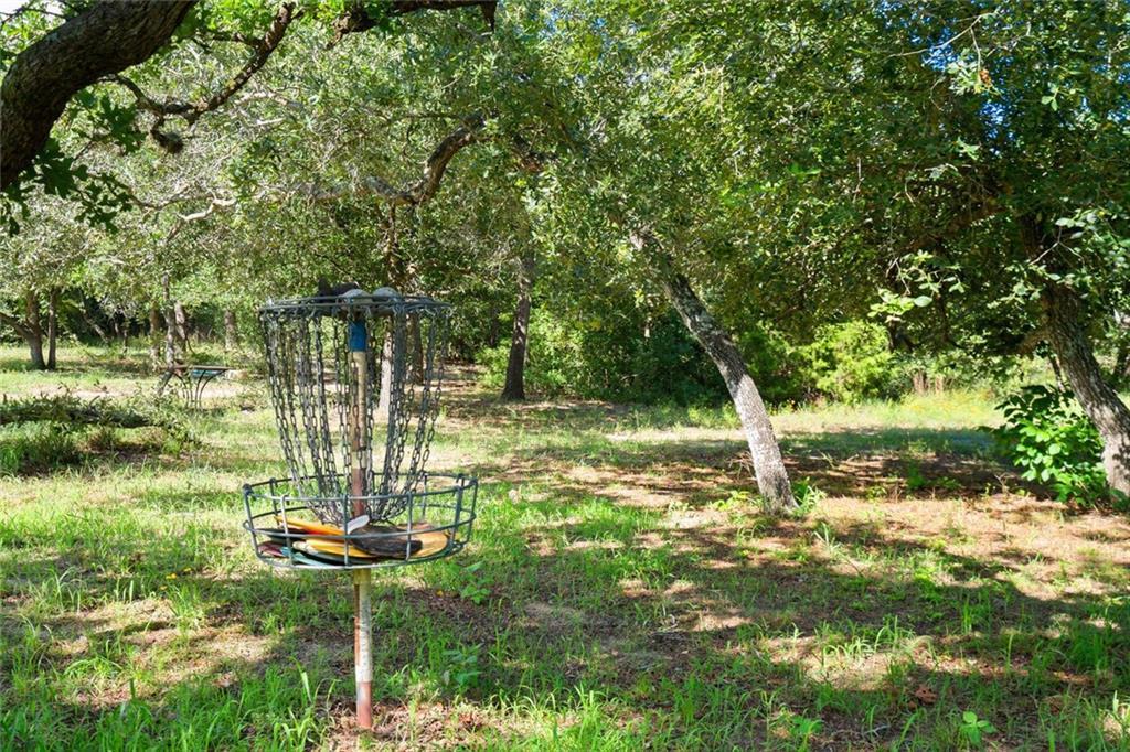 1043 Lewis Ln, Dale, TX 78616