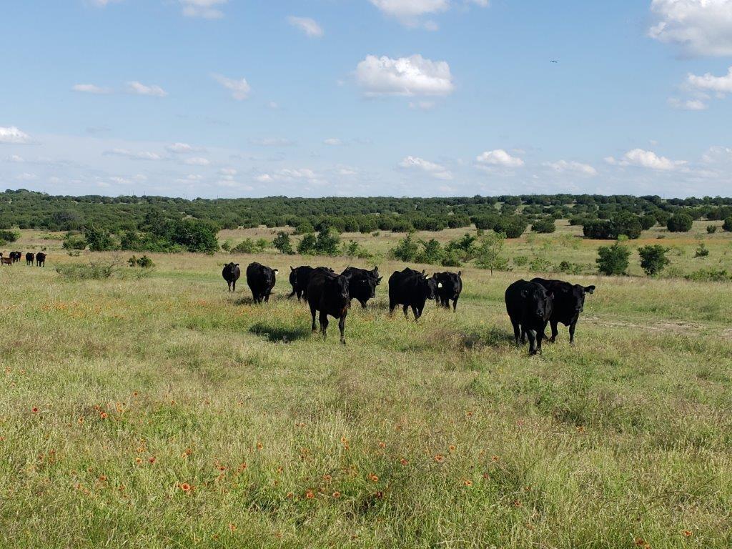 7947 County Road 1255, Lampasas, TX 76550