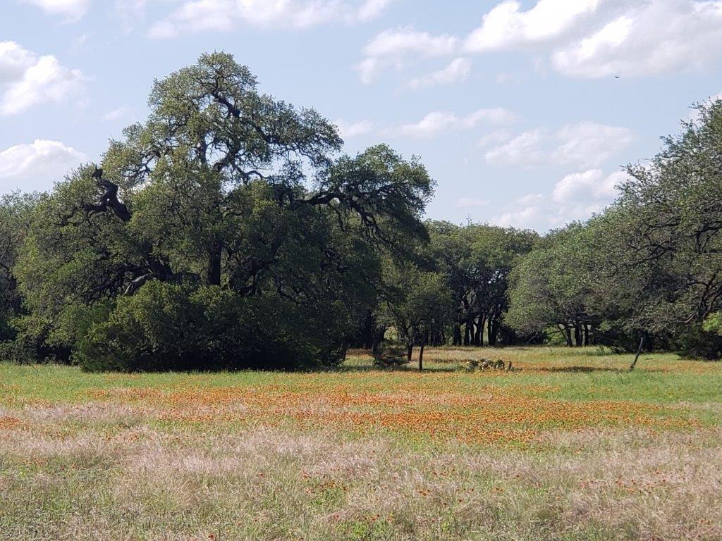 7947 County Road 1255, Lampasas, TX 76550
