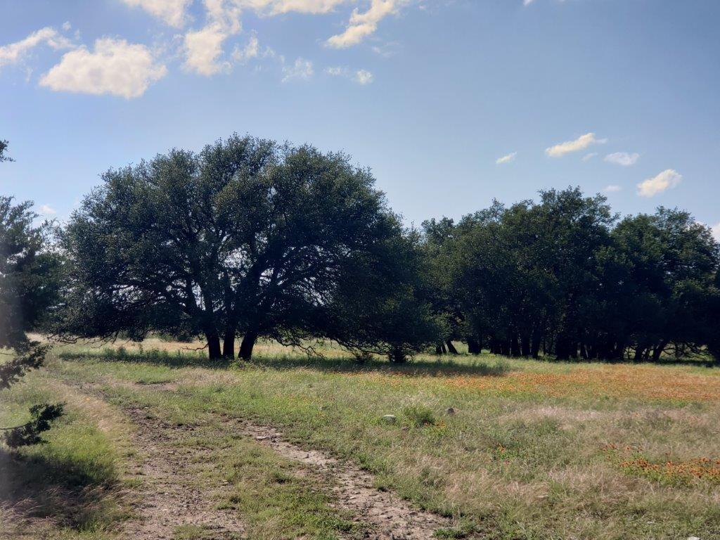 7947 County Road 1255, Lampasas, TX 76550