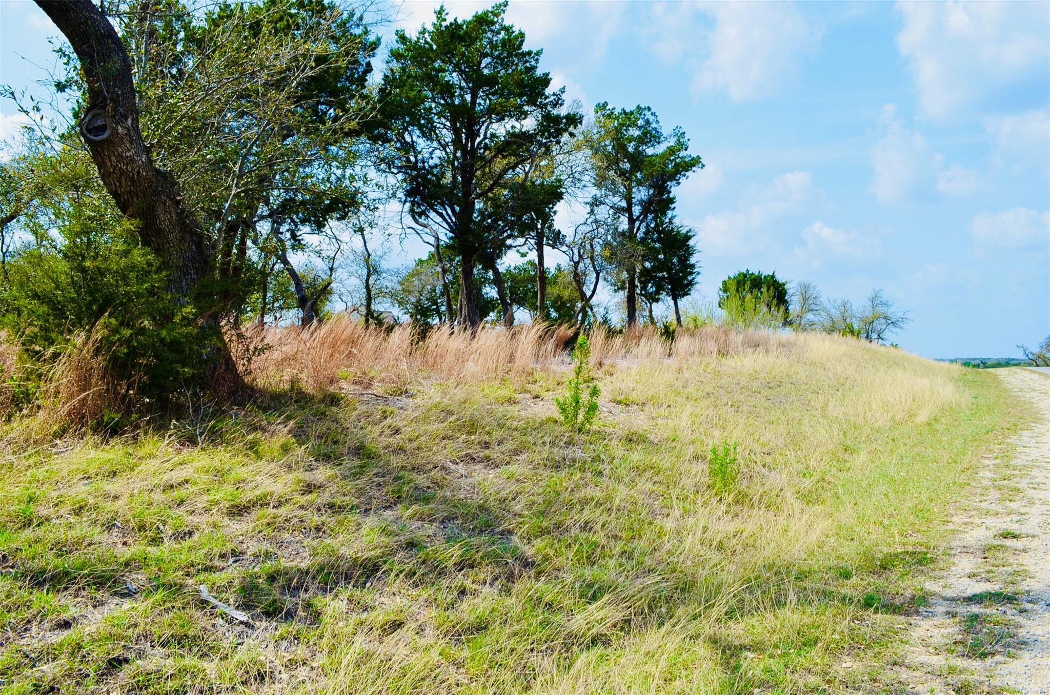 115 Arabian Ln, Driftwood, TX 78619