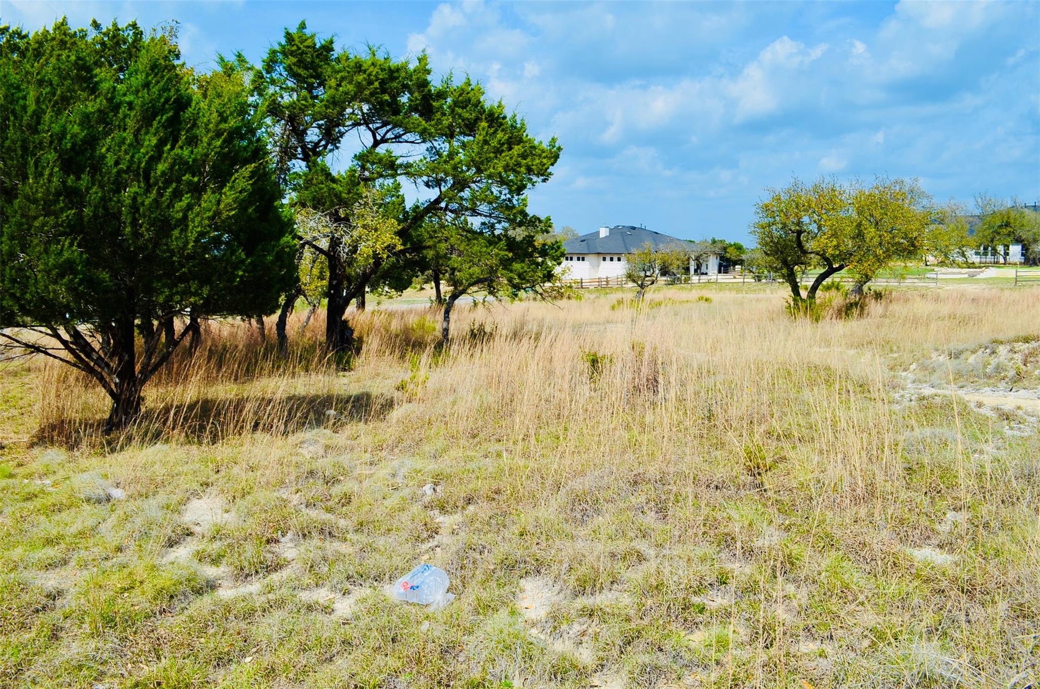 115 Arabian Ln, Driftwood, TX 78619