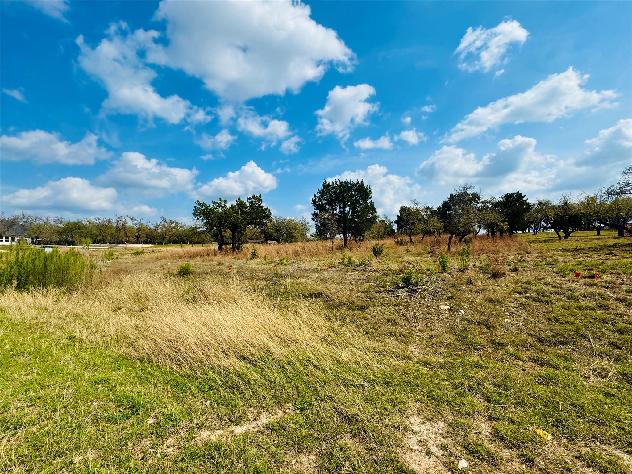 115 Arabian Ln, Driftwood, TX 78619