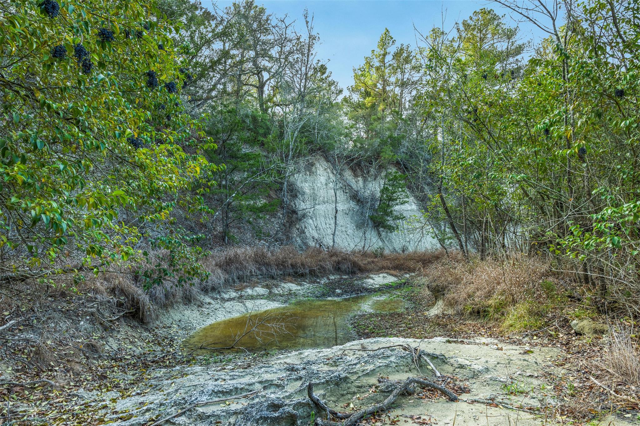 1200 Highway 71 Byp, La Grange, TX 78945