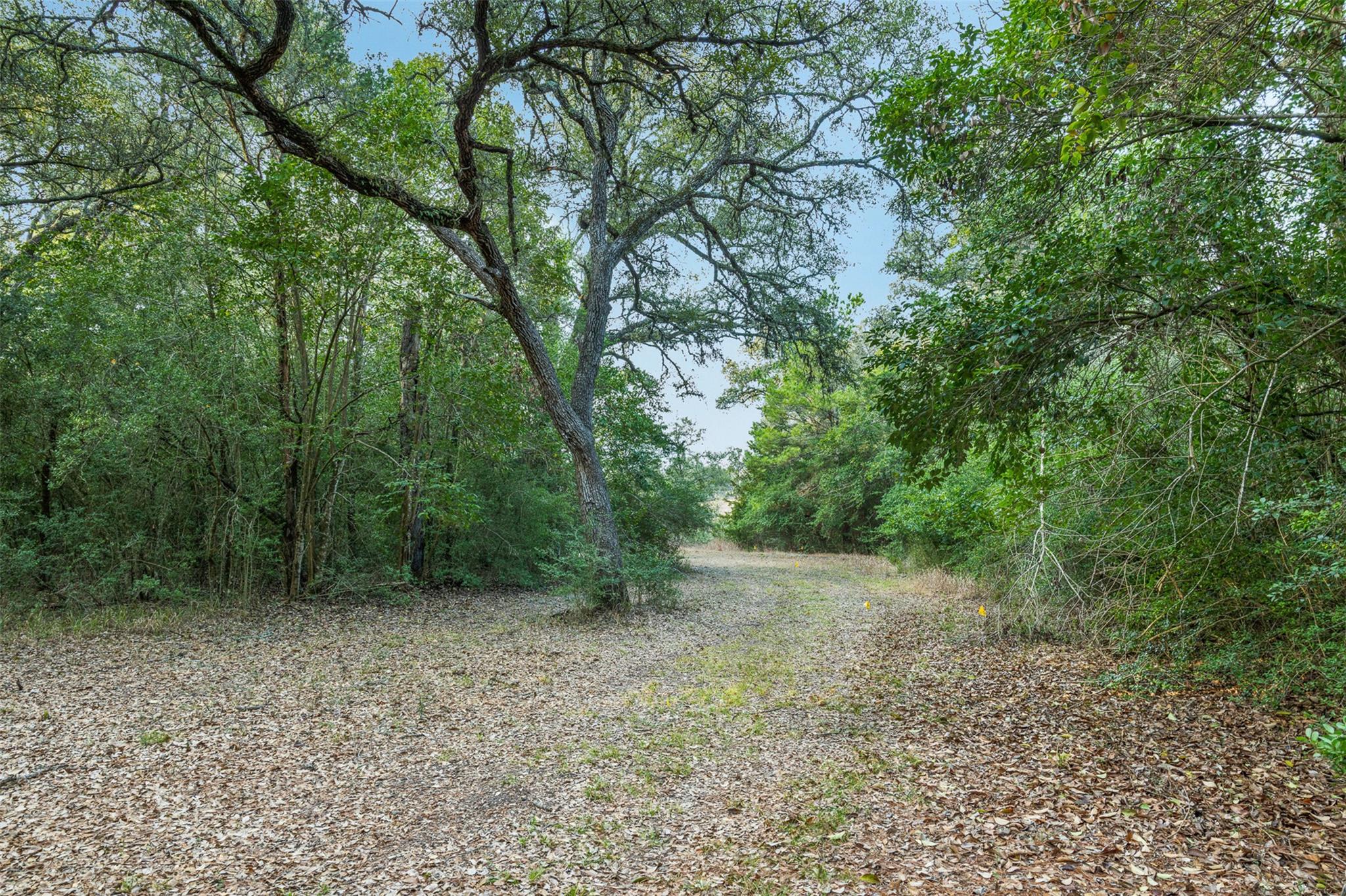 1200 Highway 71 Byp, La Grange, TX 78945