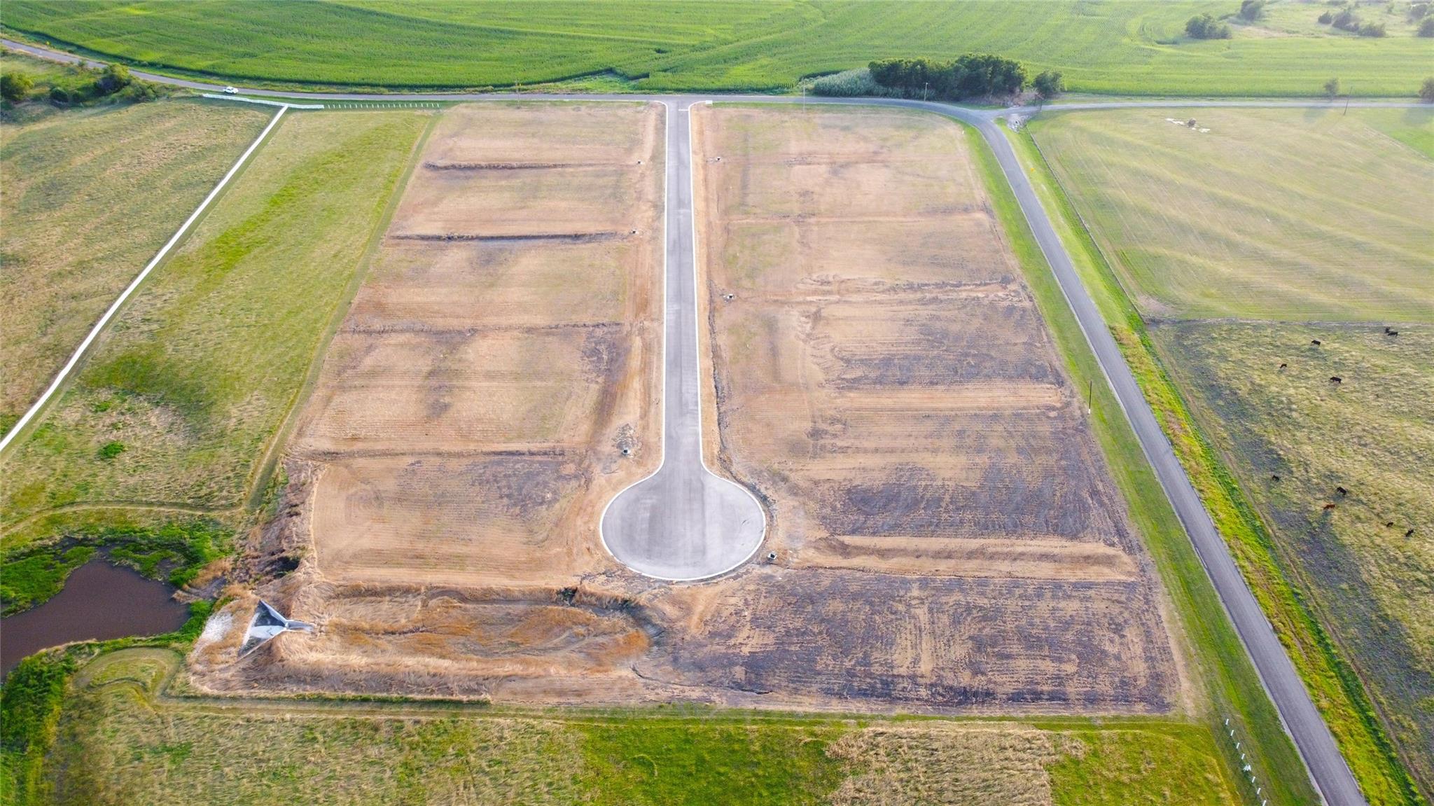 200 Tigerlily Way, Thrall, TX 76578