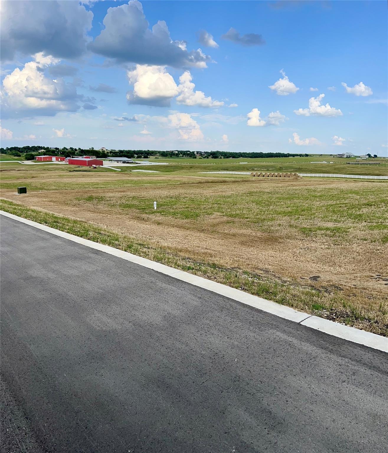 200 Tigerlily Way, Thrall, TX 76578