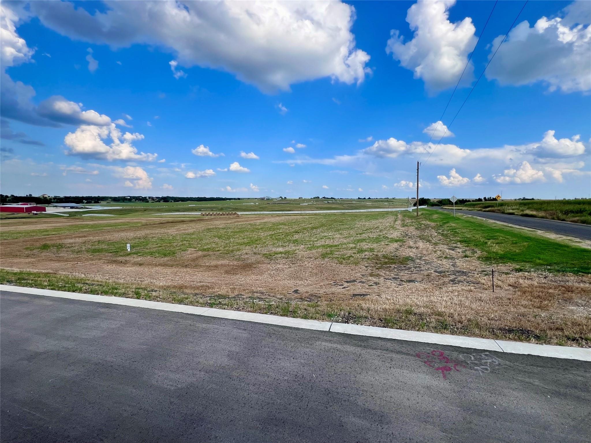 200 Tigerlily Way, Thrall, TX 76578