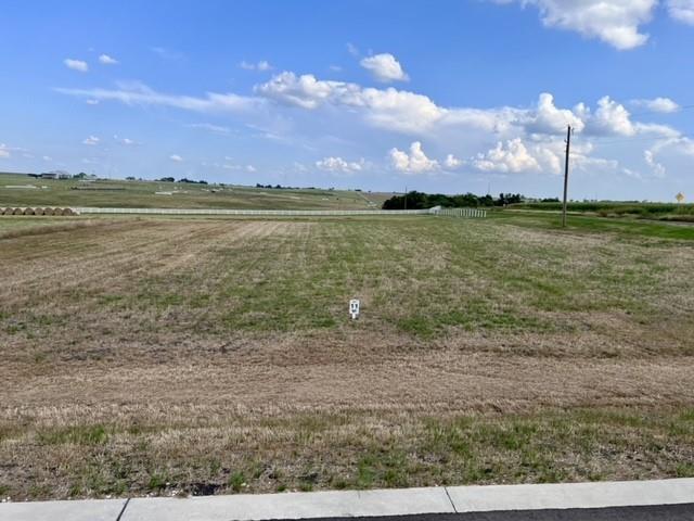 200 Tigerlily Way, Thrall, TX 76578