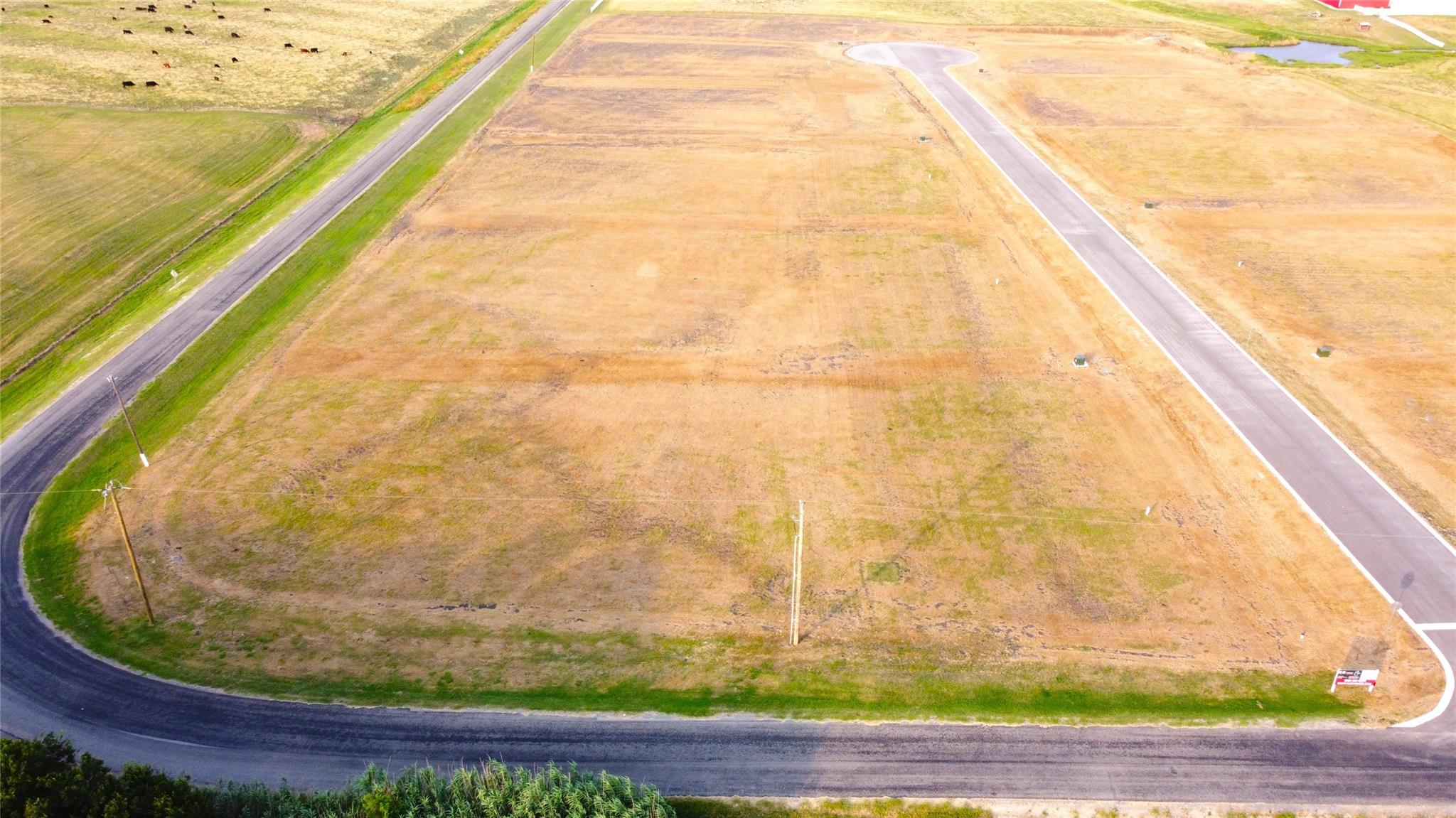 200 Tigerlily Way, Thrall, TX 76578