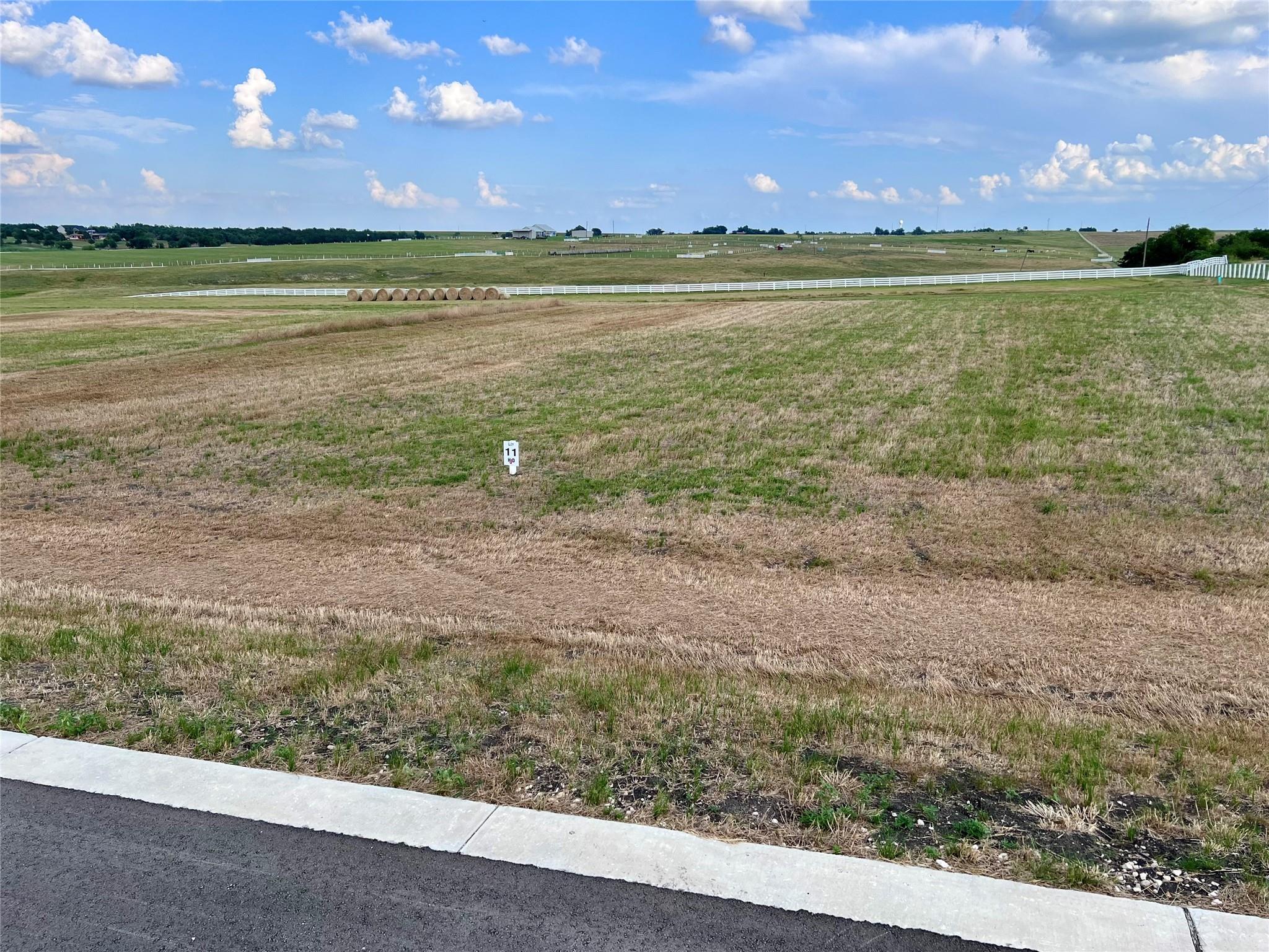 200 Tigerlily Way, Thrall, TX 76578