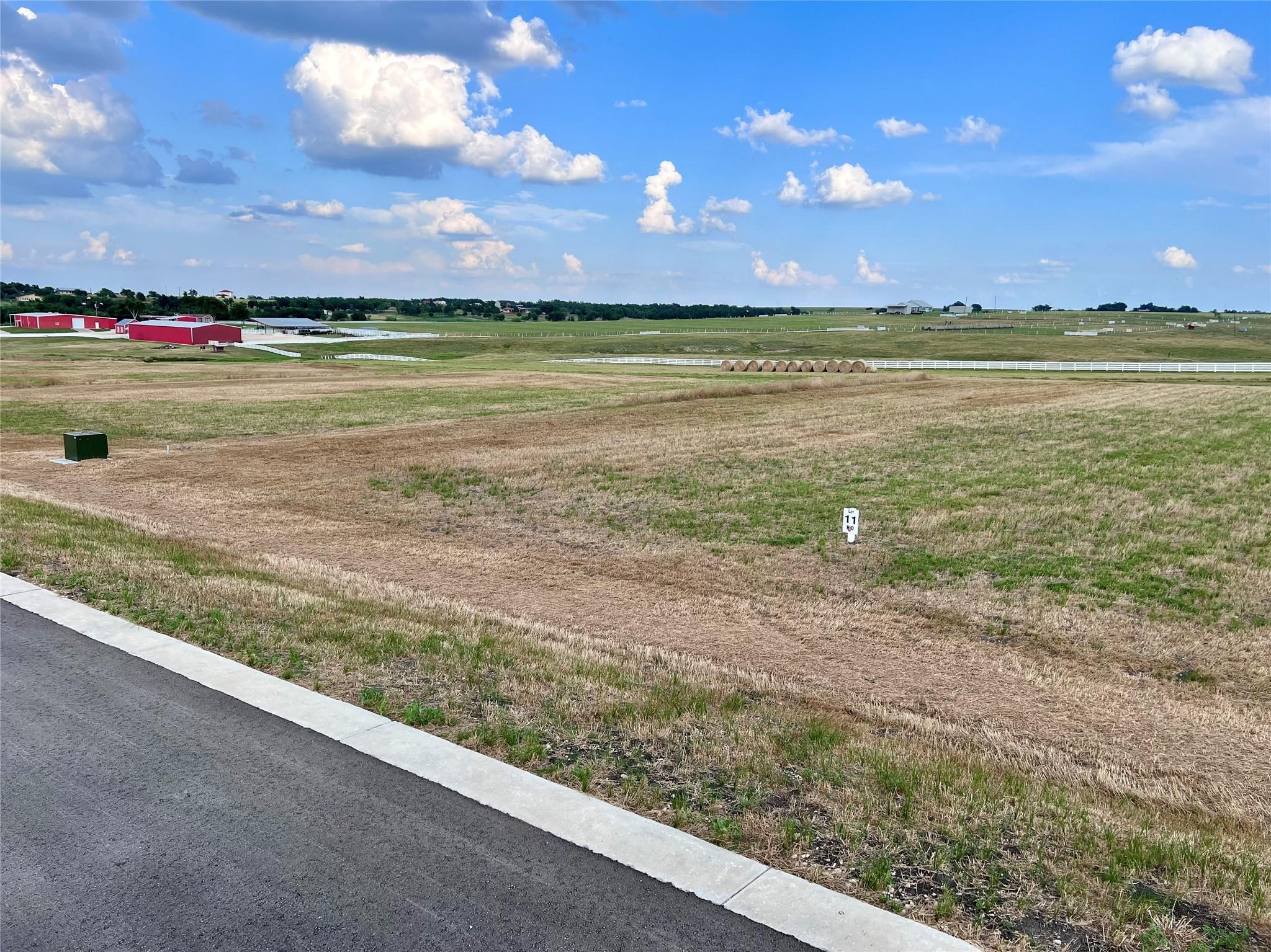 200 Tigerlily Way, Thrall, TX 76578