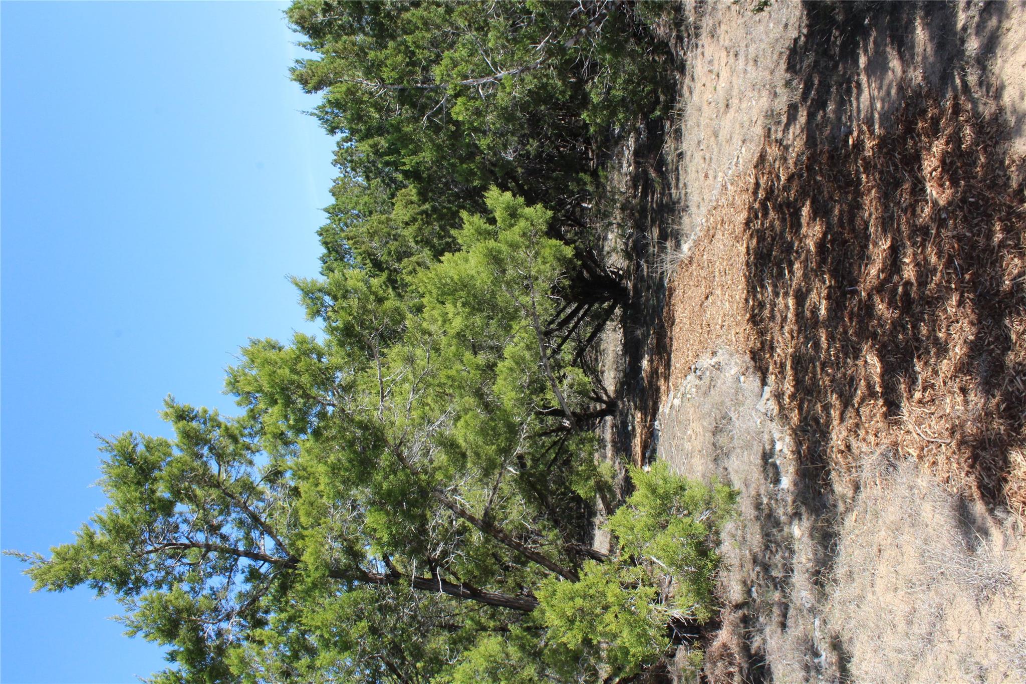 609 Las Colinas Dr, Wimberley, TX 78676