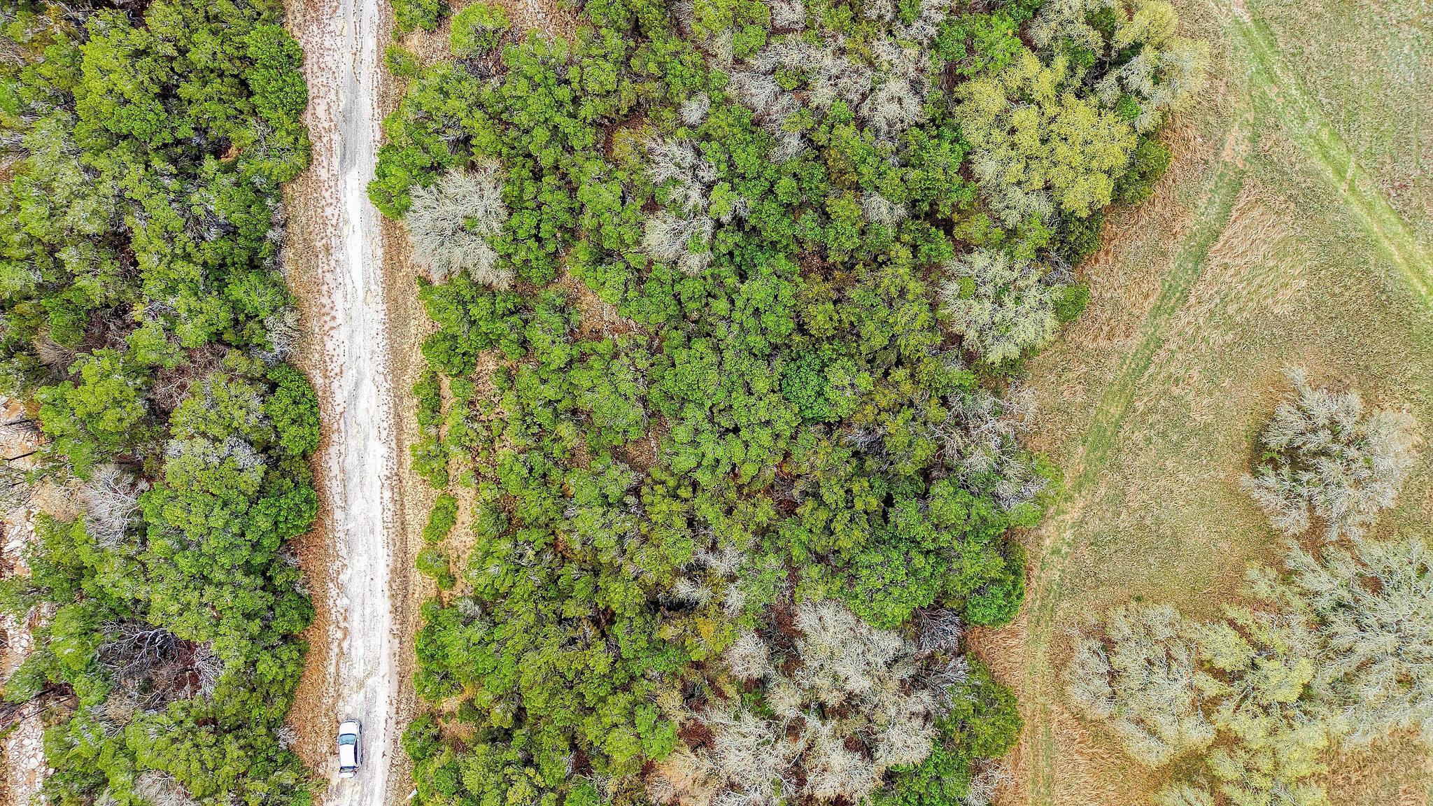 2313 Cedar Gln, Leander, TX 78645