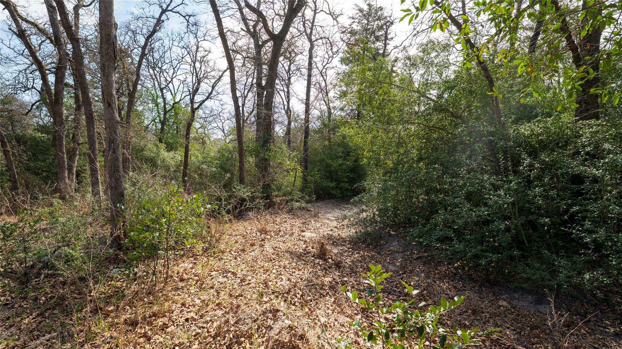 4066 County Road 448, Thorndale, TX 76577