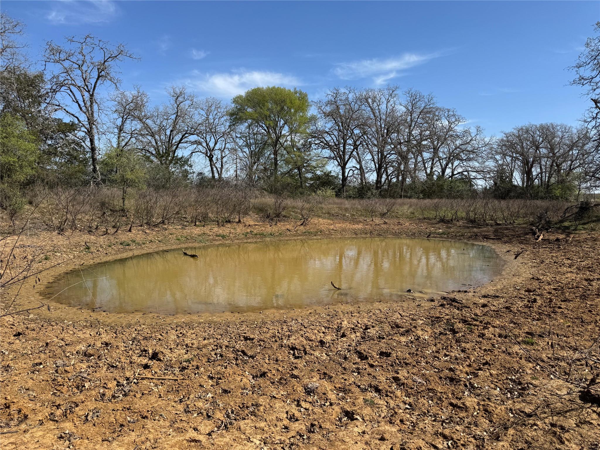 3400 Kirk Cors, Harwood, TX 78632