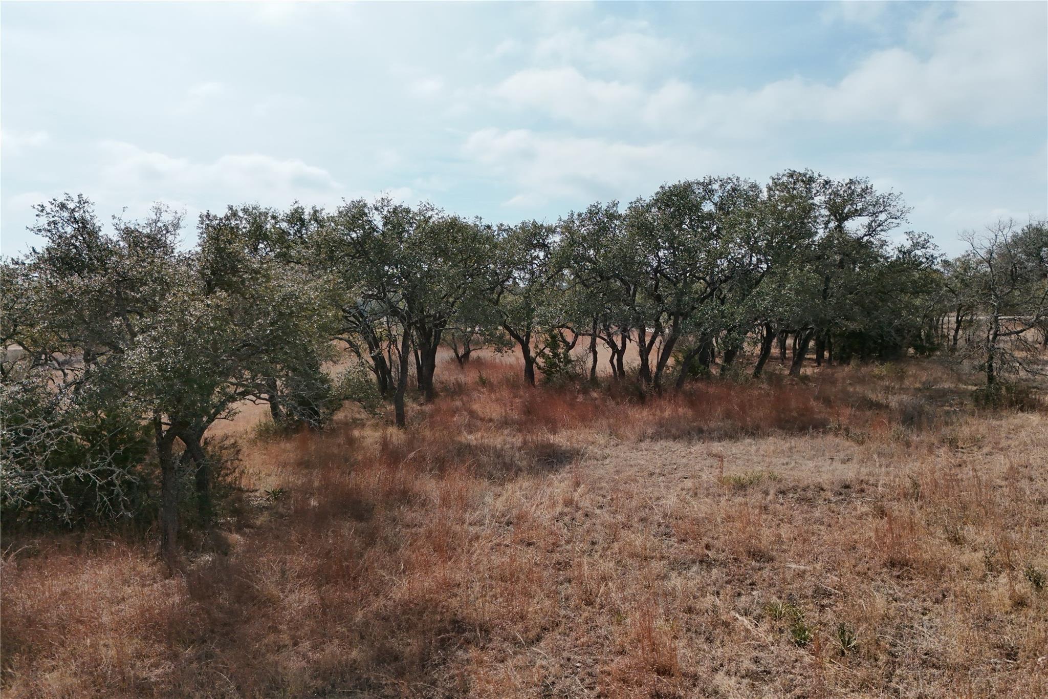 Tract 57-6 Bryce Trail, Briggs, TX 78608