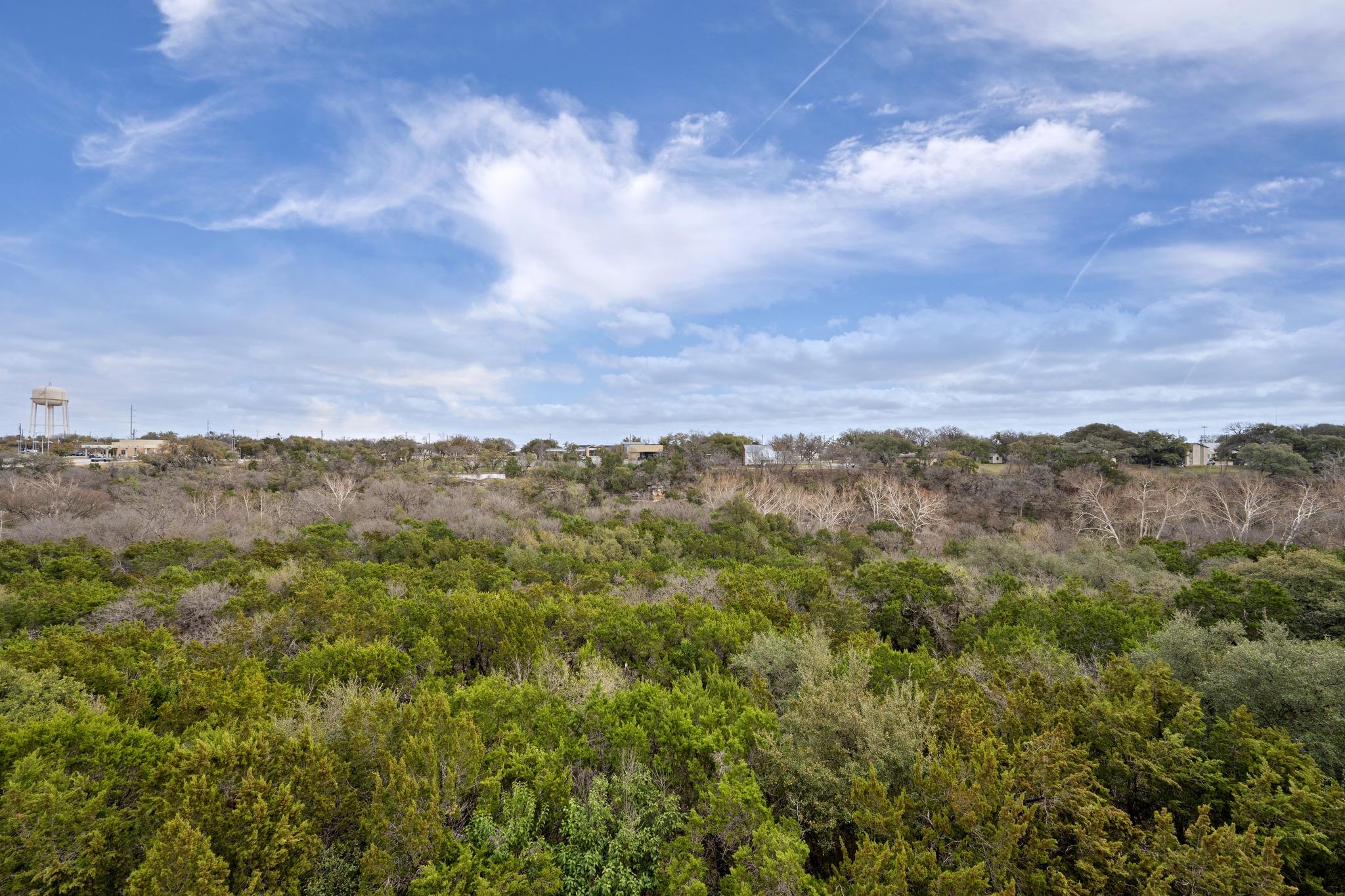 313 Adams St, Georgetown, TX 78628