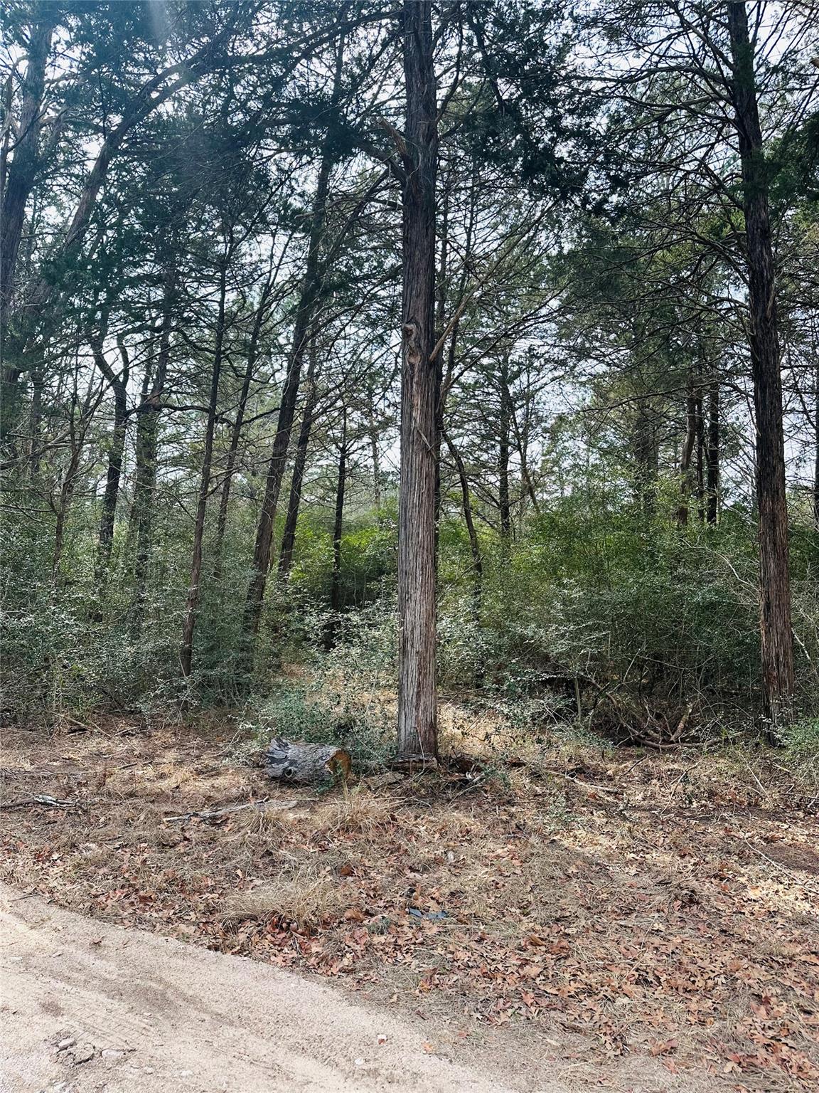 1053 Elm Crest Dr, New Ulm, TX 78950