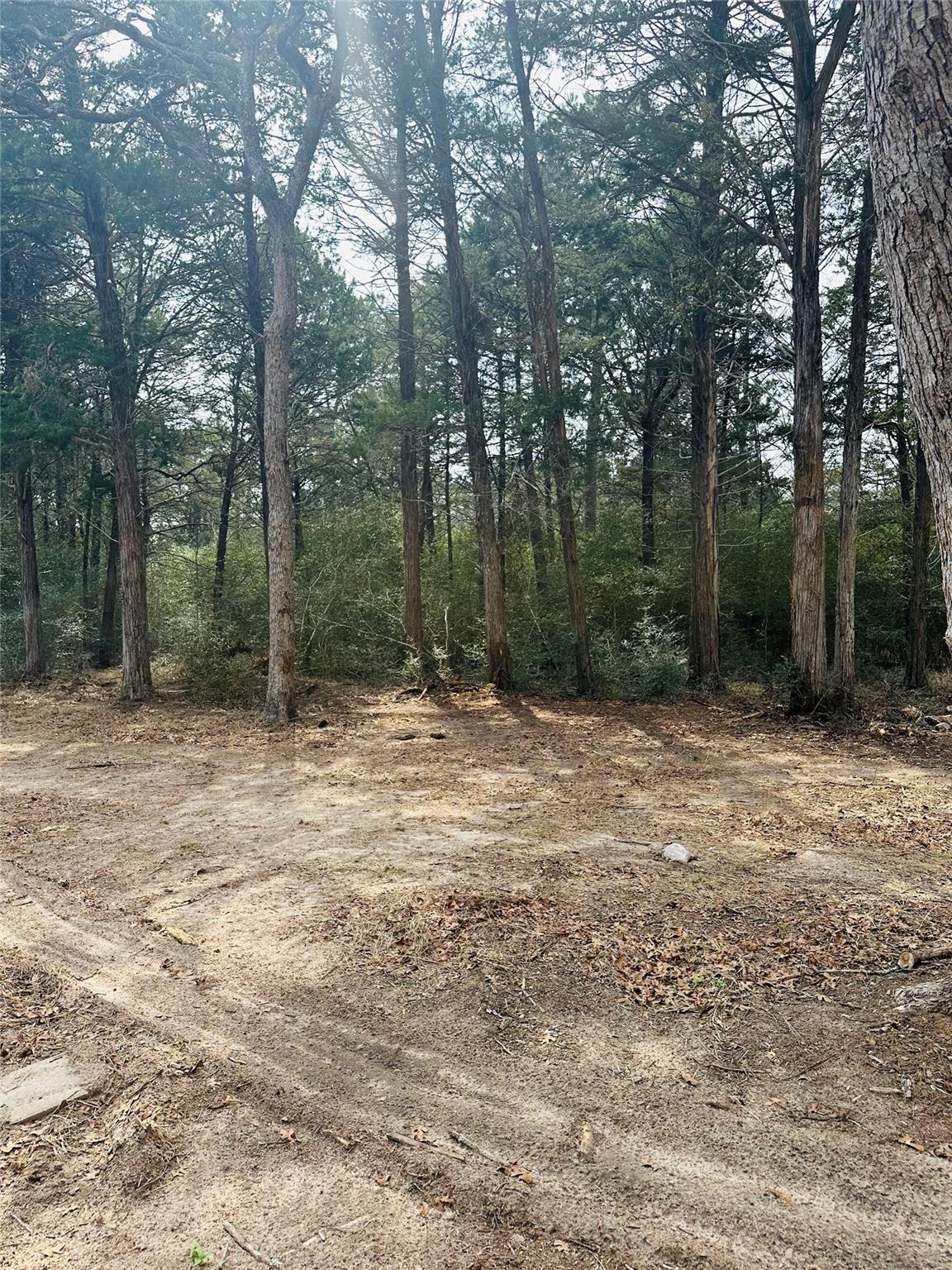 1053 Elm Crest Dr, New Ulm, TX 78950