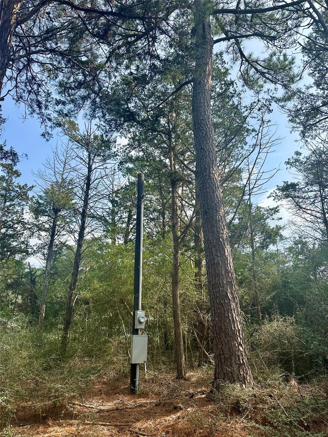 1053 Elm Crest Dr, New Ulm, TX 78950