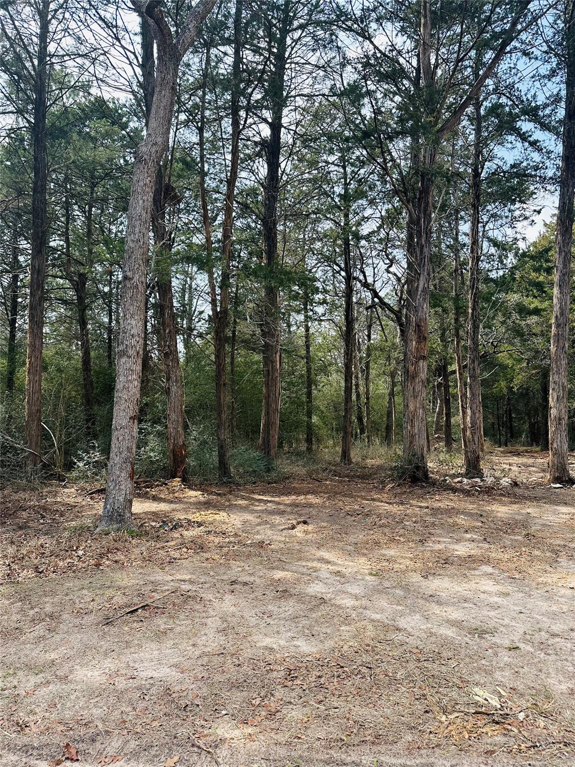 1053 Elm Crest Dr, New Ulm, TX 78950