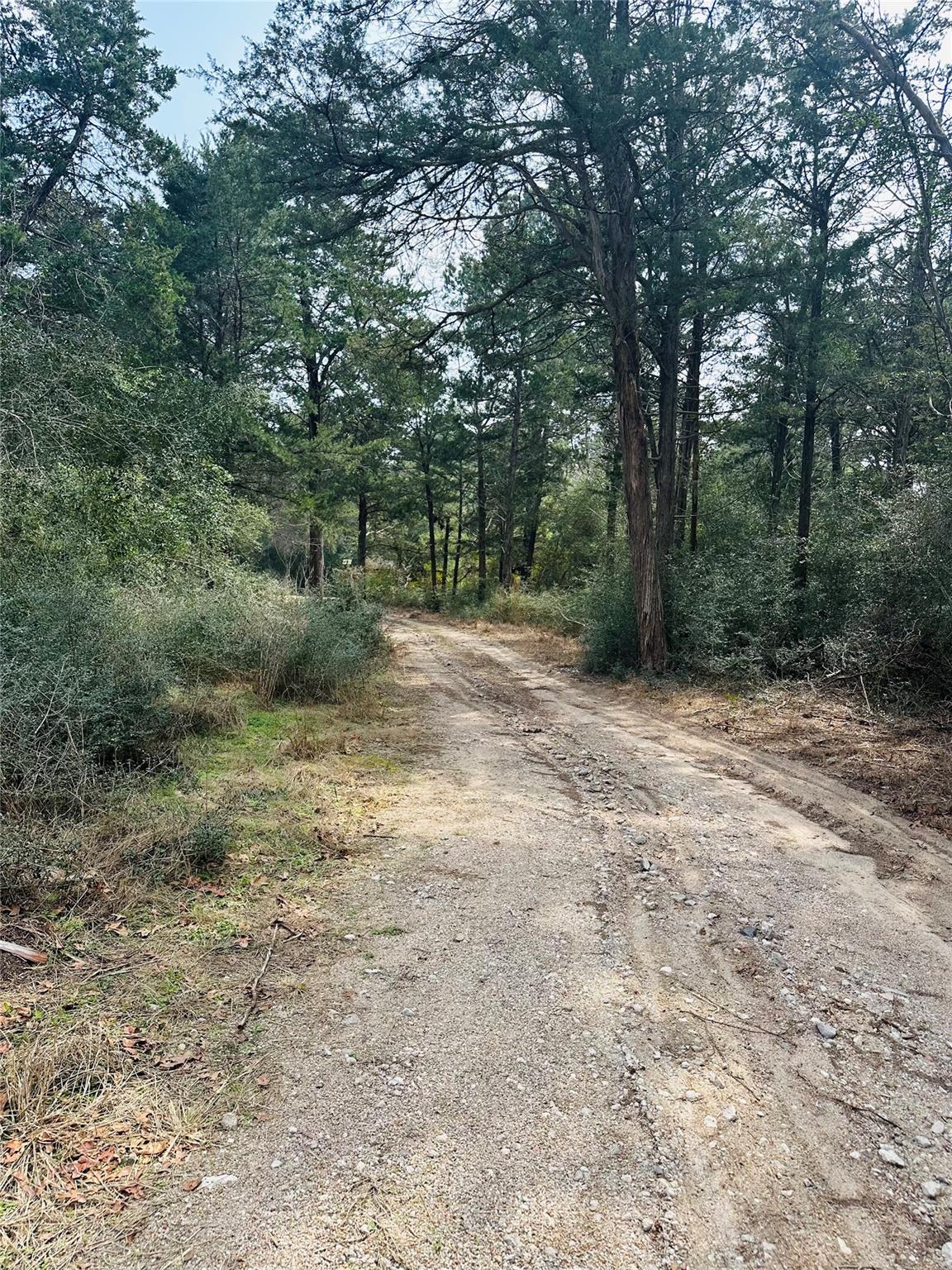 1053 Elm Crest Dr, New Ulm, TX 78950