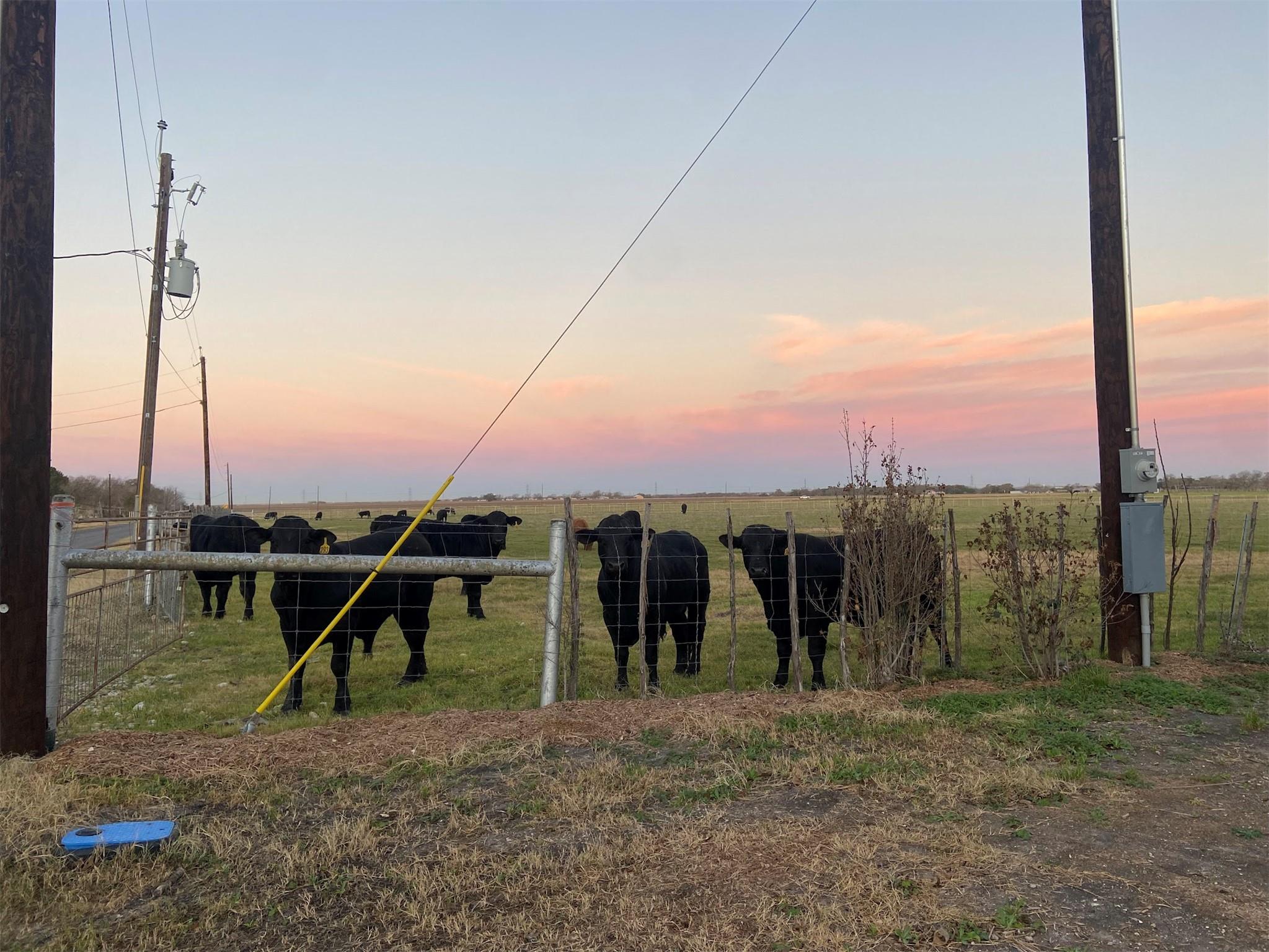 162 Friedens Church Rd, Seguin, TX 78155